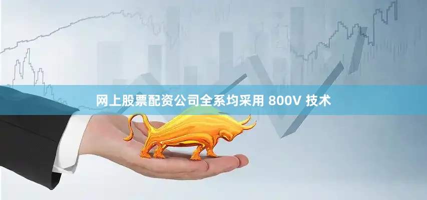 网上股票配资公司全系均采用 800V 技术