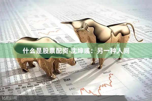 什么是股票配资 沈坤彧：另一种人间