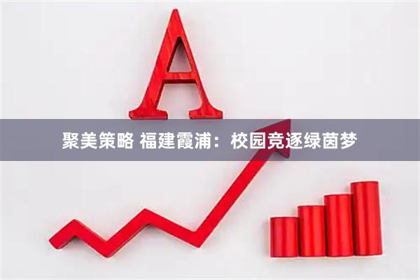 聚美策略 福建霞浦：校园竞逐绿茵梦
