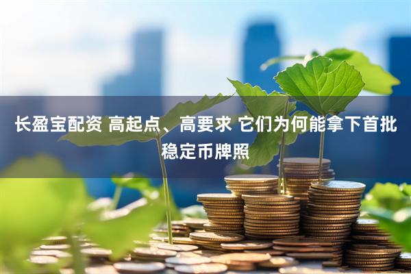 长盈宝配资 高起点、高要求 它们为何能拿下首批稳定币牌照